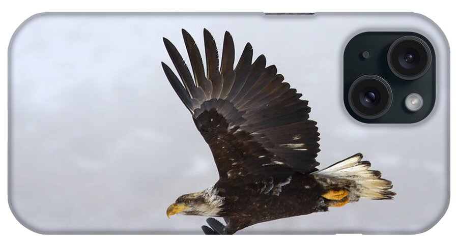 Eagle iPhone Case featuring the photograph Foggy Flight by Michael Dawson