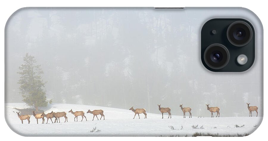 Elk iPhone Case featuring the photograph Foggy Meadow by Aaron Whittemore