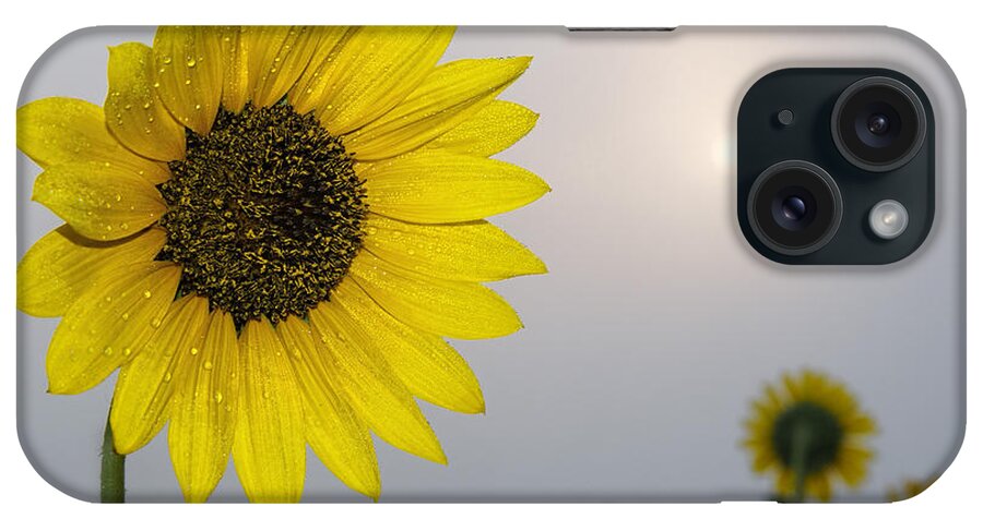 Kansas iPhone Case featuring the photograph Foggy sunflowers by Rob Graham
