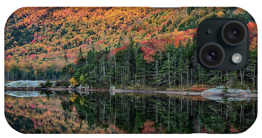 Beaver Pond iPhone Case featuring the photograph foliage at dawn on Beaver pond by Jeff Folger