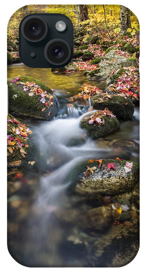 Foliage iPhone Case featuring the photograph Foliage Brook by White Mountain Images