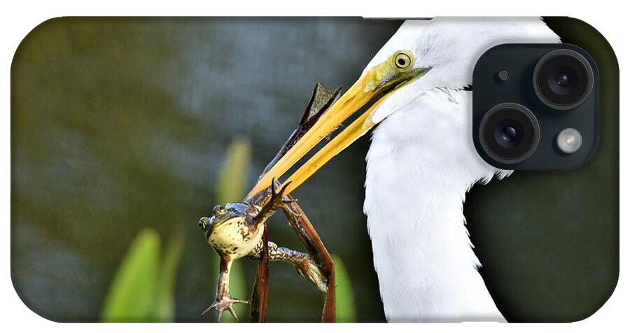 Great White Egret iPhone Case featuring the photograph Food Chain by Julie Adair