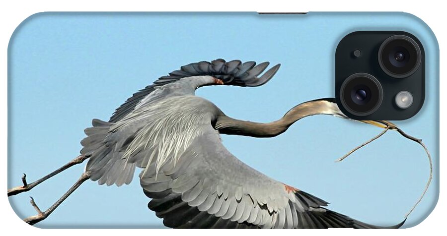 Bird iPhone Case featuring the photograph For the Nest by Sabrina L Ryan