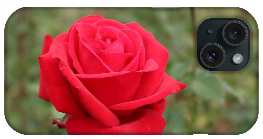Flowers iPhone Case featuring the digital art Foreground Love by Linda Ritlinger