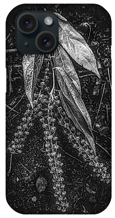 Appalachia iPhone Case featuring the photograph Forest Botanicals in Black and White by Debra and Dave Vanderlaan