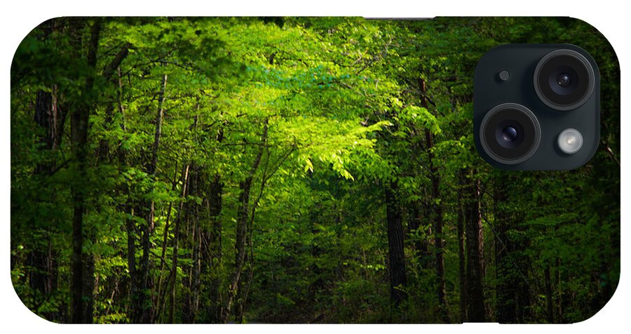 Path iPhone Case featuring the photograph Forest Path by Parker Cunningham