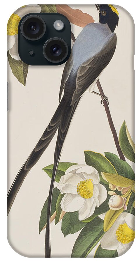Flycatcher iPhone Case featuring the painting Fork-tailed Flycatcher by John James Audubon