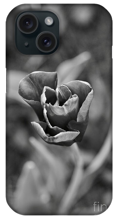 Tulip iPhone Case featuring the photograph Form by Lara Morrison