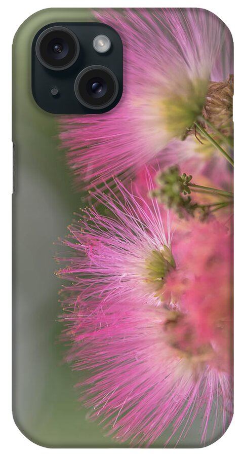 Formosa iPhone Case featuring the photograph Formosa Dream by Bruce Pritchett