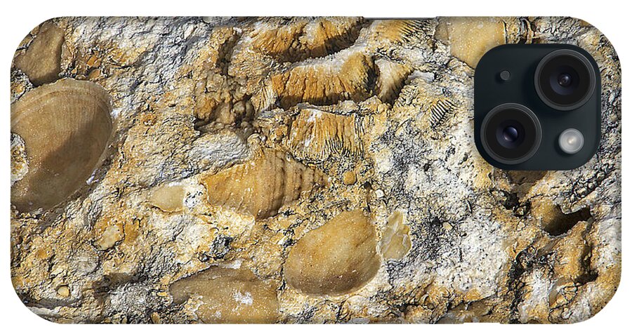 Background iPhone Case featuring the photograph Fossil Rock Abstract 3 by Bob Slitzan