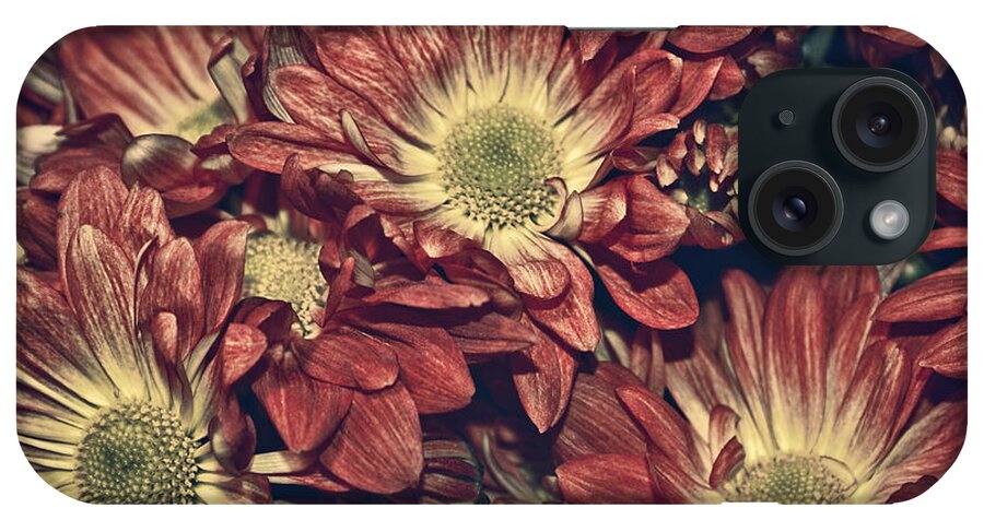 Daisies iPhone Case featuring the photograph Foulee de petales - 04b by Variance Collections
