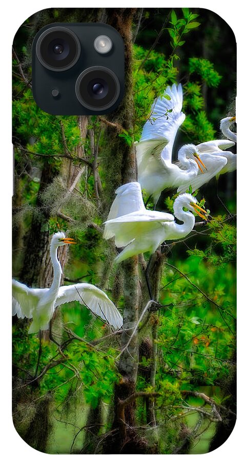 Birds iPhone Case featuring the photograph Four Egrets by Harry Spitz