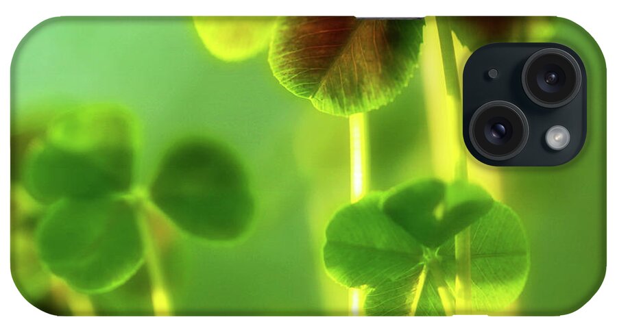 Four Leaf Clover iPhone Case featuring the photograph Four Leaf Clover by Bonnie Bruno