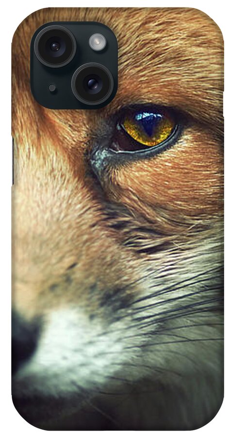 Animal iPhone Case featuring the photograph Fox by Zoltan Toth