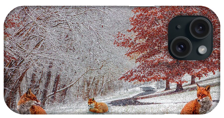 Appalachia iPhone Case featuring the photograph Foxes in Winter White and Red by Debra and Dave Vanderlaan