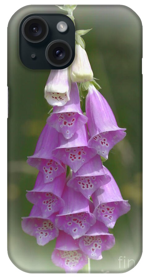 Flora iPhone Case featuring the photograph Foxglove by Stephen Melia