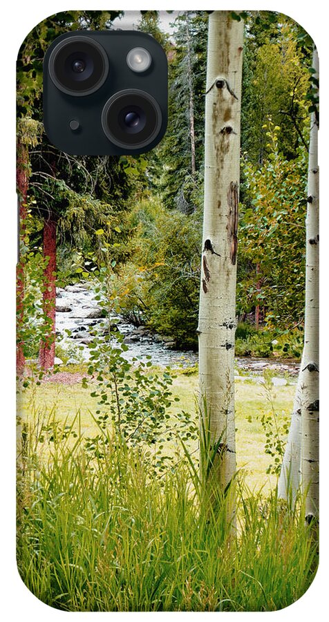 Trees iPhone Case featuring the photograph Framed By Aspens by John Anderson