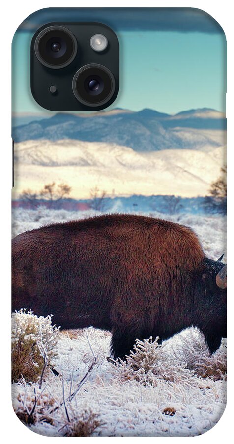 Bison iPhone Case featuring the photograph Free To Roam by John De Bord