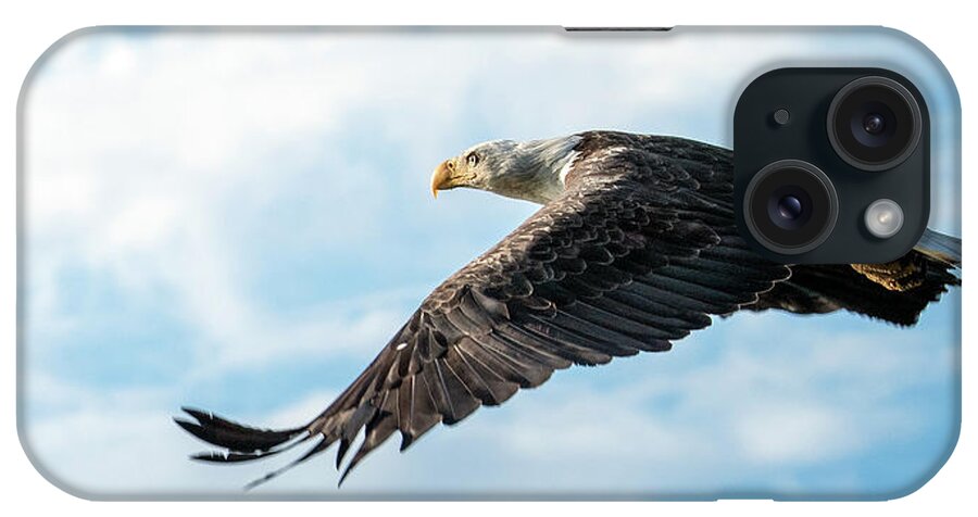 Bald Eagle iPhone Case featuring the photograph Freedom by Jeanette Mahoney