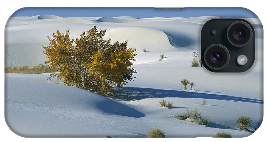 00198316 iPhone Case featuring the photograph Fremont Cottonwood at White Sands by Konrad Wothe