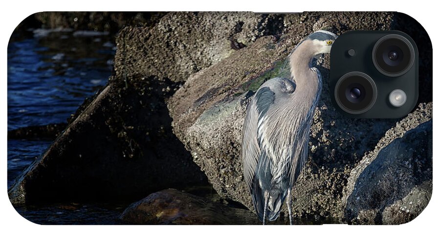Great Blue Heron iPhone Case featuring the photograph French Creek Heron by Randy Hall