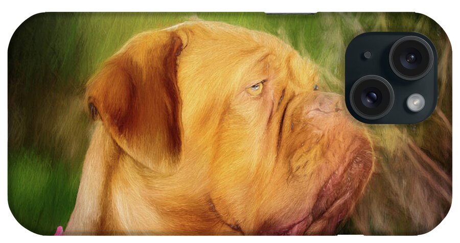 Dogs iPhone Case featuring the photograph French Mastiff by Eleanor Abramson