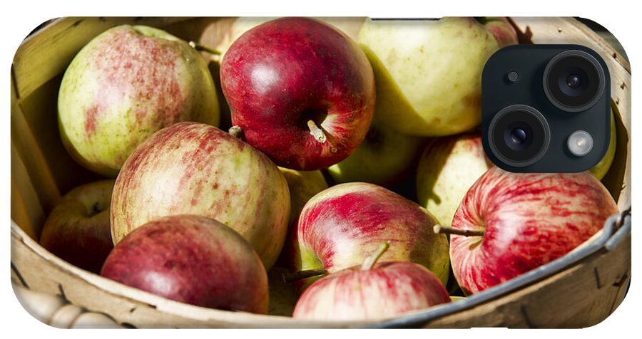 Maine iPhone Case featuring the photograph Fresh Apples by Alana Ranney