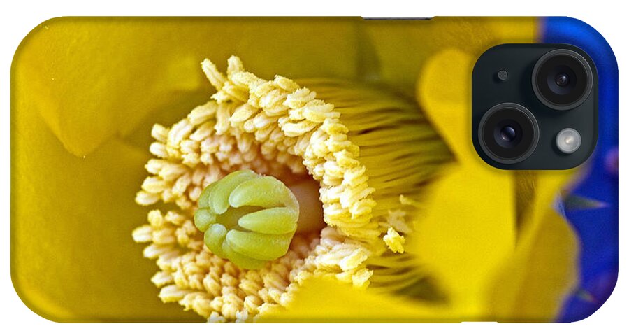 Prickly iPhone Case featuring the photograph Fresh Start by Farol Tomson