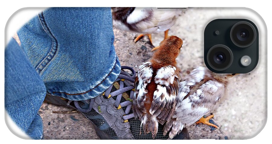 Chicken iPhone Case featuring the photograph Friends by Tatiana Travelways