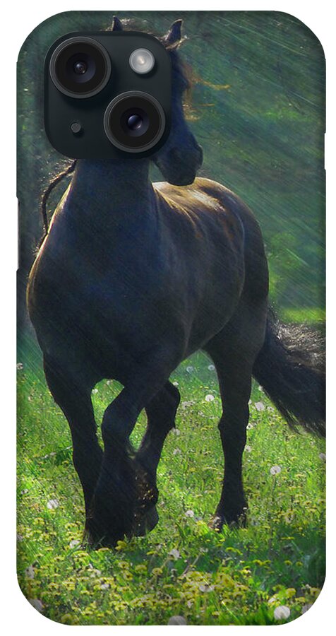 Horses iPhone Case featuring the photograph Friesian Sun by Fran J Scott