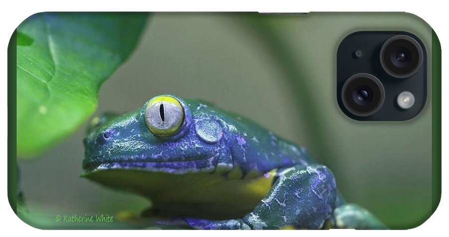 Amphibian iPhone Case featuring the photograph Fringed Leaf Frog by Katherine White