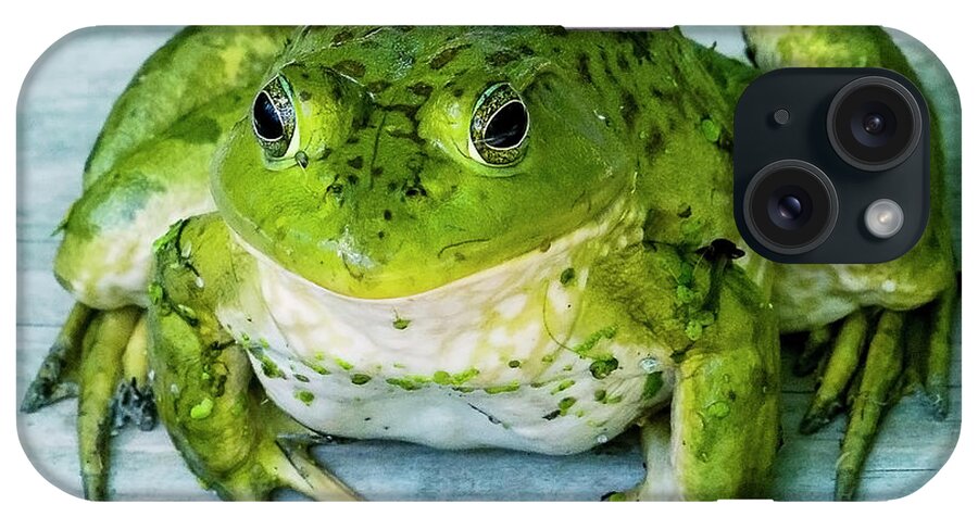 Frog iPhone Case featuring the photograph Frog Portrait by Ed Peterson
