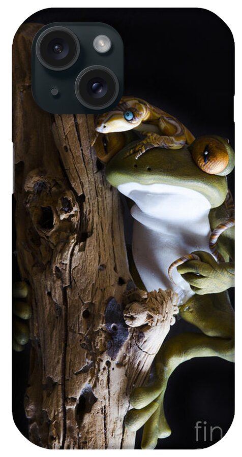 Frog iPhone Case featuring the photograph Frog Spirit 3 by Bob Christopher