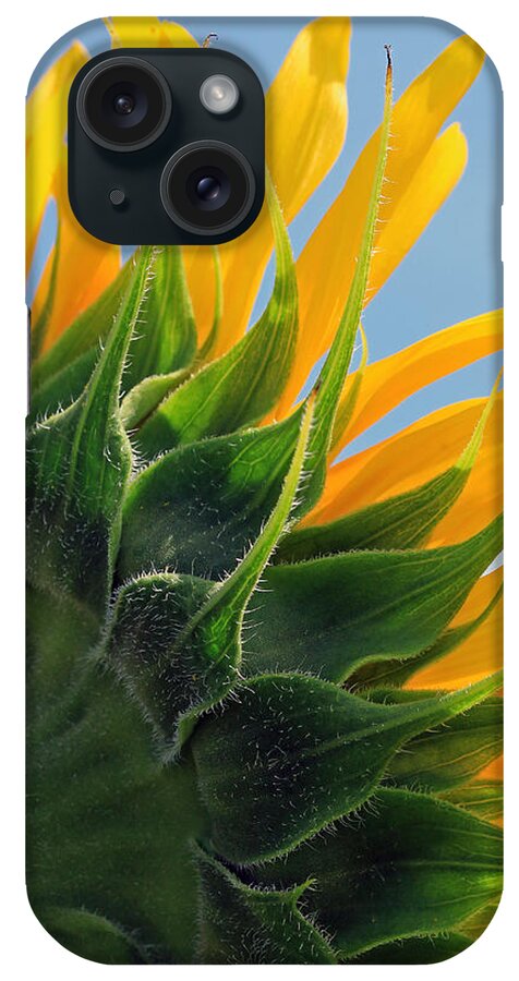 Flowers iPhone Case featuring the photograph From Behind by Christopher McKenzie