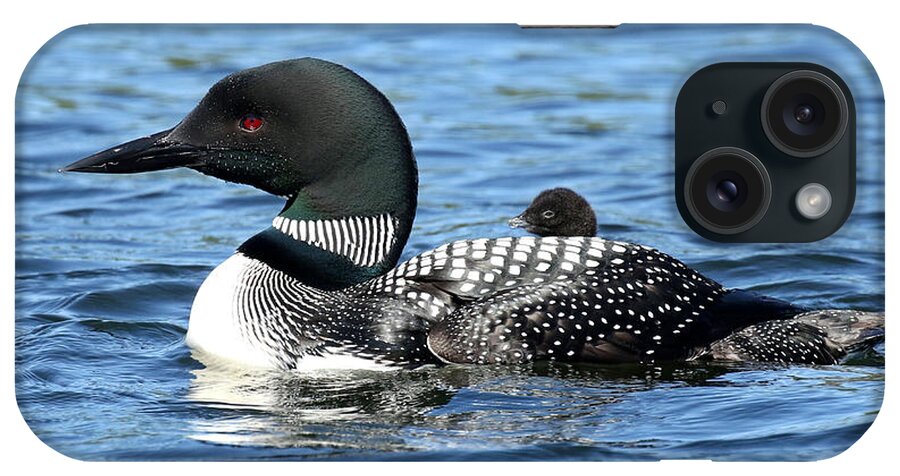 Loon iPhone Case featuring the photograph Front Row Center by Heather King