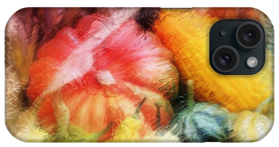 Midwest iPhone Case featuring the photograph Frost on the Pumpkin by Diane Lindon Coy