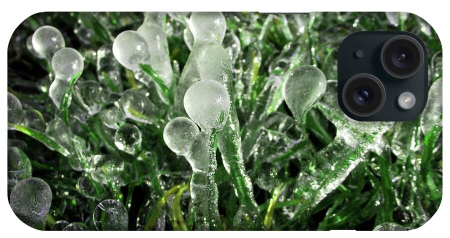 Nature iPhone Case featuring the photograph Frosted Grass by Harold Zimmer