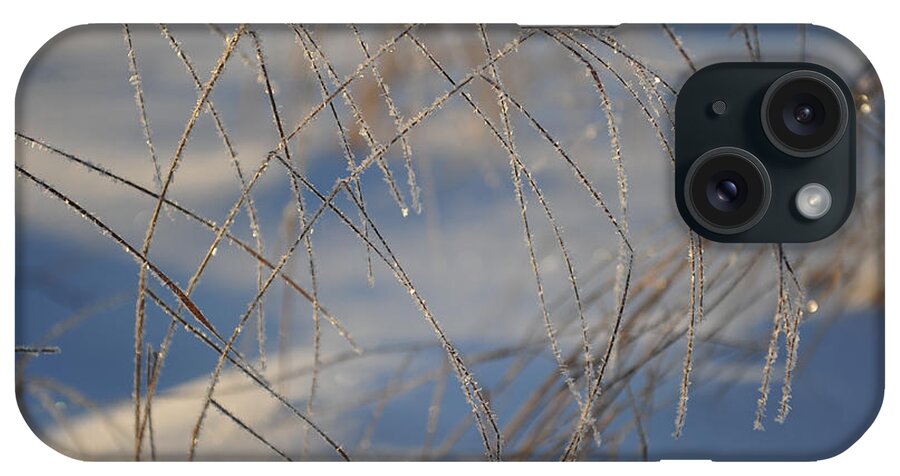 December iPhone Case featuring the photograph Frosted Lines by Randi Grace Nilsberg