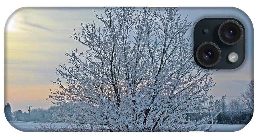 Winter iPhone Case featuring the photograph Frosted Sunrise by Heather King