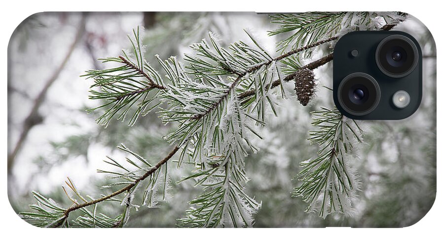 Frost iPhone Case featuring the photograph Frosty Pinecone by Mike Eingle