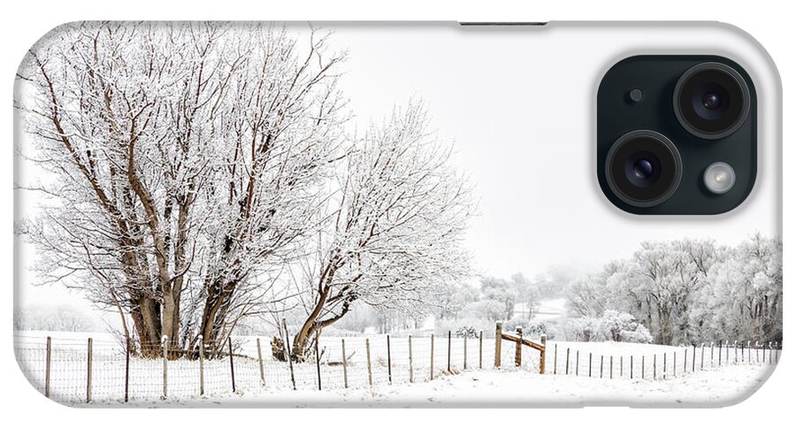 Tree iPhone Case featuring the photograph Frosty Winter Scene by Denise Bush