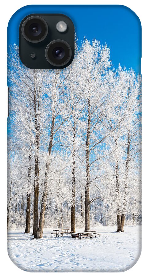 Hoar Frost iPhone Case featuring the photograph Frosty Wonderland by Nebojsa Novakovic