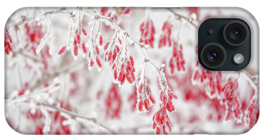 Cheryl Baxter Photography iPhone Case featuring the photograph Red and White Frozen Beauty by Cheryl Baxter