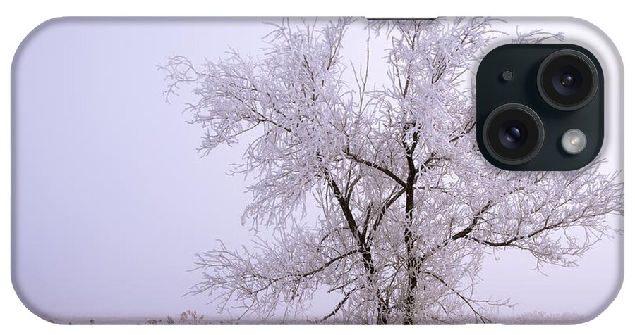 Frozen Ground iPhone Case featuring the photograph Frozen Ground by Chad Dutson