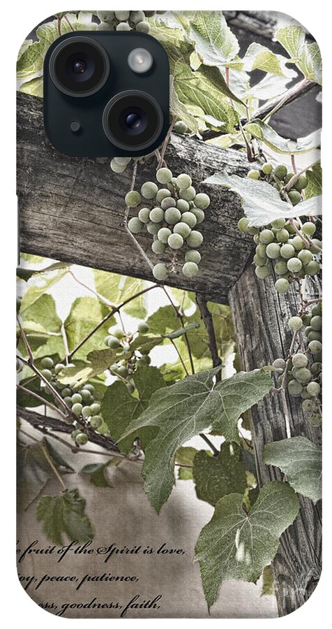 Abundance iPhone Case featuring the photograph Fruit Of The Spirit by Diane Macdonald