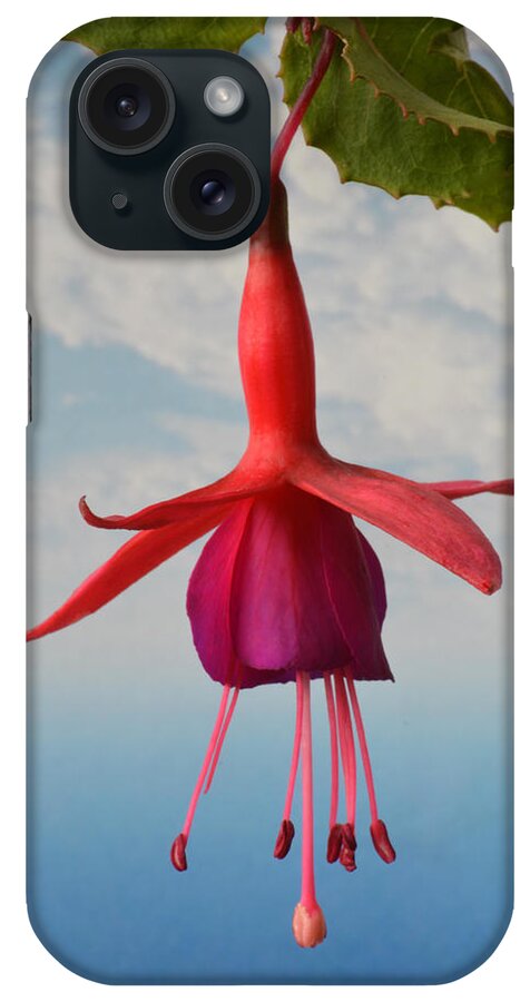 Fuchsias iPhone Case featuring the photograph Fuchsia In The Sky. by Terence Davis