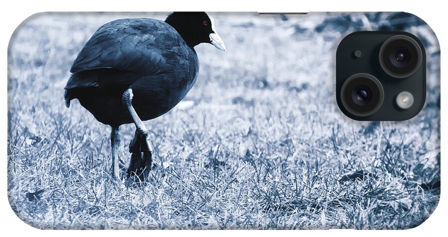 Common Coot iPhone Case featuring the photograph Fulica Atra 2 by Jaroslav Buna