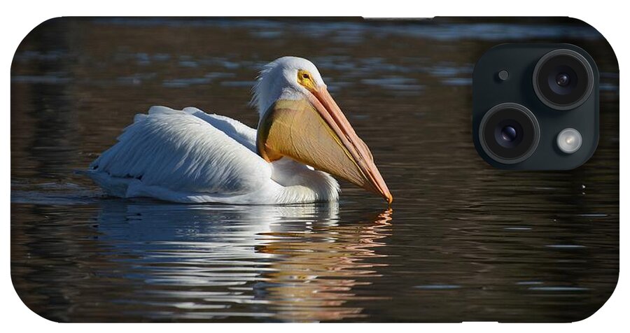 American White Pelican iPhone Case featuring the photograph Full Pouch by Fraida Gutovich
