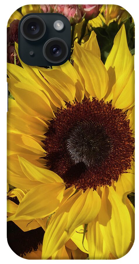 Sunflower iPhone Case featuring the photograph Full Sun by Arlene Carmel