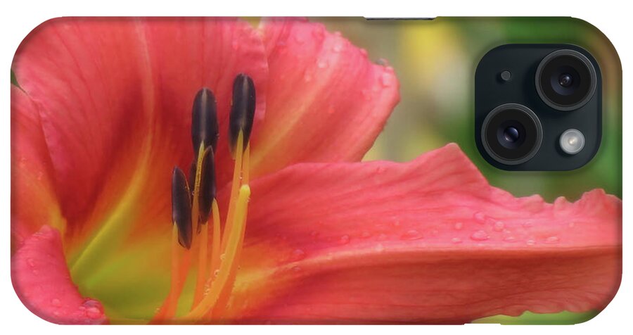 H. Fulva Rosea iPhone Case featuring the photograph Fulva Rosea Rebloom - Daylily by MTBobbins Photography